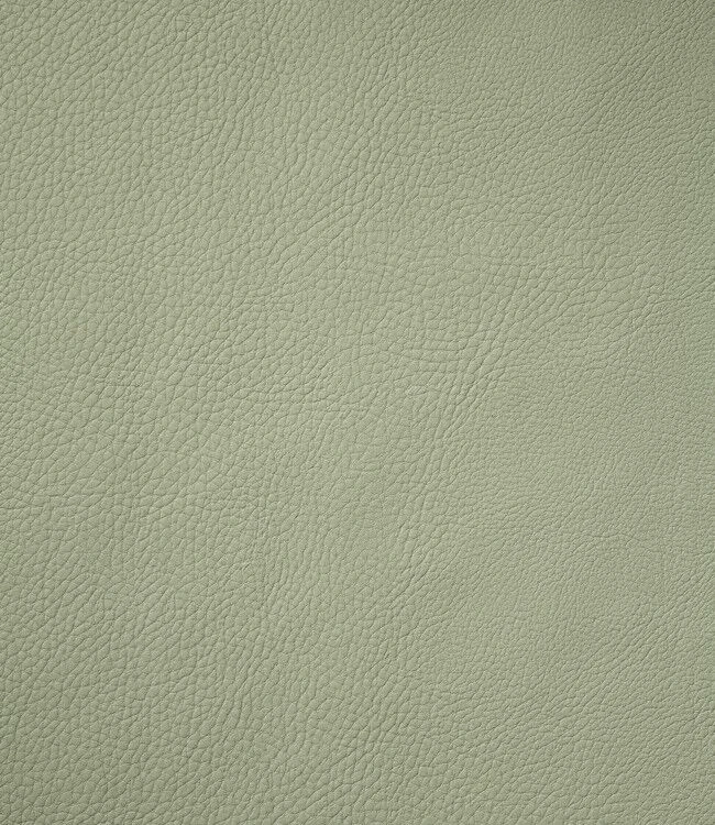 Finesse Monaco XL Placemat 35 X 48 Cm Kunstleer Green Tea 4 Finesse Monaco XL Placemat 35 X 48 Cm Kunstleer Green Tea - Afbeelding 2